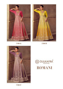 Gulkayra Romani Premium Shaded Fabric Designer Gown